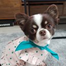 서서울호수동물병원 이미지