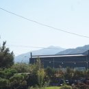 정원해물탕 이미지