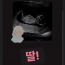 도안누리여성의원 이미지