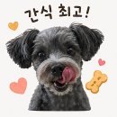 안국역 한옥카페 꼬르지엘모 내돈내산 후기, 북촌 애견동반 감성카페