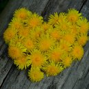 주사랑마트 이미지