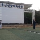 용산생활체육공원 배드민턴장