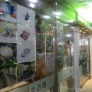 진아뜰리에미술학원 이미지