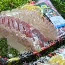 남대전농협 하나로마트 | 속초 모듬회 포장 추천｜농협하나로마트 엑스포점 수산코너 후기