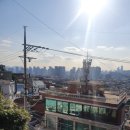 기비코스메틱