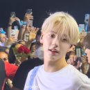 위쥬