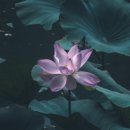 백운리경로당 이미지