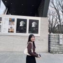 도쿄 현대미술관 MOT 류이치 사카모토 전시 후기! 소리를 보다, 시간을 듣다