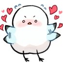 교동닭갈비 이미지