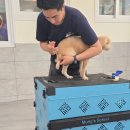 꼬리흔들 유치원 이미지