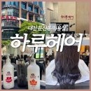 수정카클리닉 | 대전 둔산동 갤러리아 인근 미용실 [하루헤어] 모발클리닉 후기