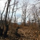 도곡온천 이미지