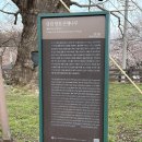 재임농장 | 당진 벚꽃축제 골정저수지 주변 소개 2