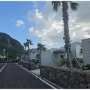 살랑제주 이미지