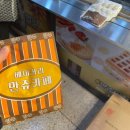 모박사김밥 | 11월 일상 기록