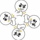 포메인서초점 이미지