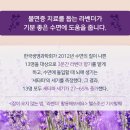 본뉘