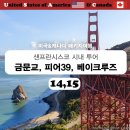 [미국]샌프란시스코 시내투어/금문교 트윈픽스 피어39 베이크루즈유람선 팰리스오브파인아트