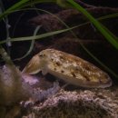 홍해수산 이미지