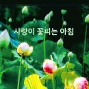 파출박사 - 강남구 | 파출박사