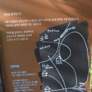 미술관 자작나무숲 이미지