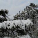 산하이불 이미지