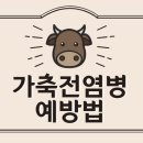 축산가축인공수정소 이미지