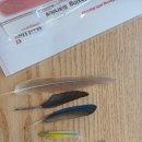 용문농장 | 양평 아이동반 여행 ‘앵무타운’ - 앵무새 체험카페 후기