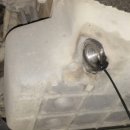 유 카센타 이미지