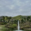 선부동 306-2~화정동 산86-10 주변 | 리뷰] 완벽했던 4월의 벚꽃 라운딩, 3인 플레이 가능해서 더 좋았던 코스카cc 후기(메이플/릴리 코스소개)