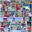 태극체육관 이미지