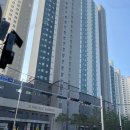 더 팰리스 | [거제/통영] 통영 더 팰리스 지븐 아파트 방충망 교체 후기 | 벌레 유입 차단 완료!🦟🙅