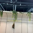 씨드짐휘트니스 PT 부천신중동점 이미지