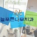 늘푸른치과 Daum카페