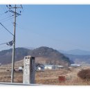임삼로 티스토리