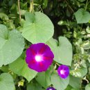 도서출판 수민 이미지