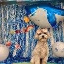 바우스쿨 이미지