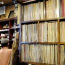 로얄다방 이미지