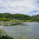 성곡1리경로당 네이버블로그