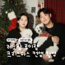 용산-455 | [용산] 오디티모드 크리스마스 촬영 | 이태원 셀프...모드 한남점 후기｜반려견 동반 크리스마스룸 촬영...