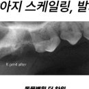 동물병원 더 하임 이미지