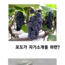 진량고등학교 이미지