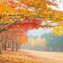 재봉틀로 생활소품 만들기 이미지