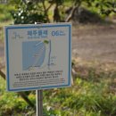 도르멍멍 이미지