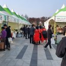 대구경북상생장터