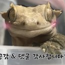 최영민 동물의료센터 이미지