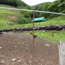 북배산흑염소농장 이미지