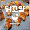 [홍대 &#34;닭꼬얌&#34;] 내돈내산 솔직 후기_너 아직도 닭쌈 안 먹어봤어?? 저렴하고 맛있는 홍대 가성비 맛집