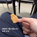 상신농장 | 다이어트 최대의 적은 ㅂㅇ이다