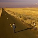 오렌지나라 이미지